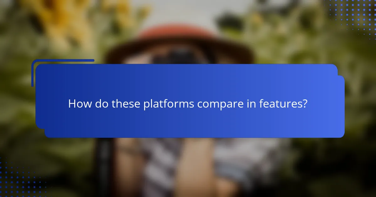 How do these platforms compare in features?