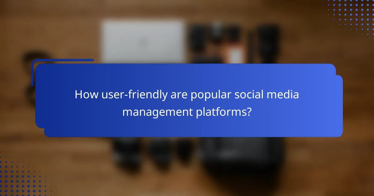How user-friendly are popular social media management platforms?