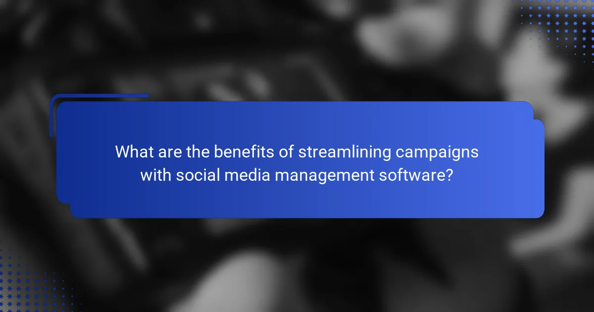 What are the benefits of streamlining campaigns with social media management software?