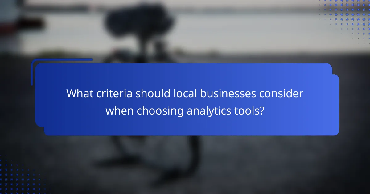 What criteria should local businesses consider when choosing analytics tools?